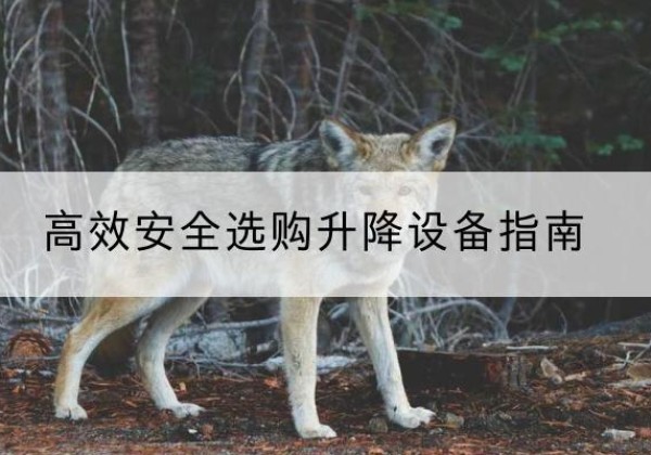 武夷山升降货梯厂家推荐-*安全选购升降设备指南