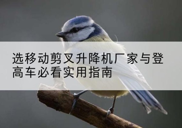 武夷山电动升降机厂家-选移动剪叉升降机厂家与登高车必看实用指南